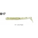 B17