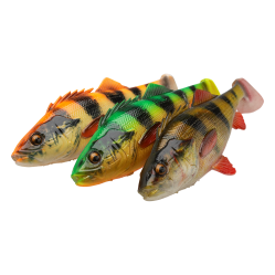 20CM