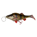 01-Perch