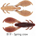 B19