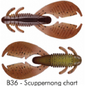 B36