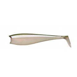 Secret sand eel